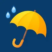Local Weather