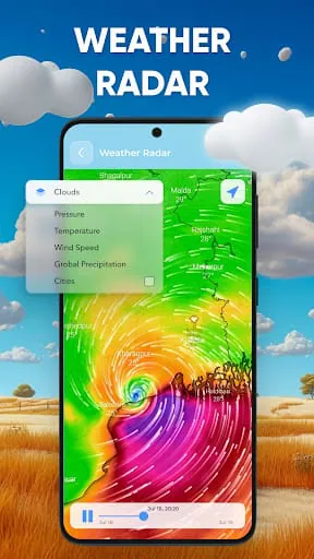 Local Weather