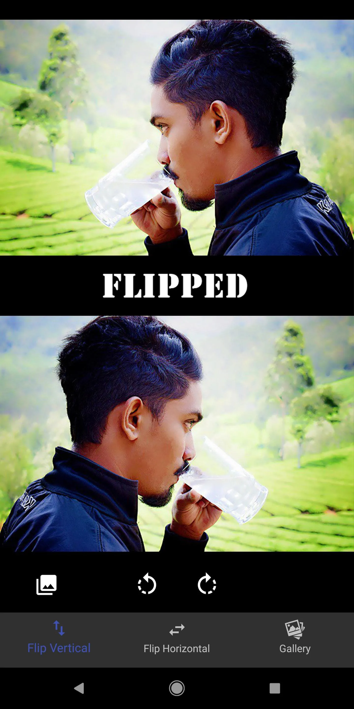 Flip Image