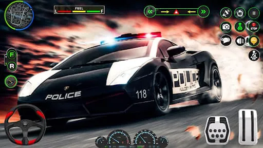 Police Car Parking