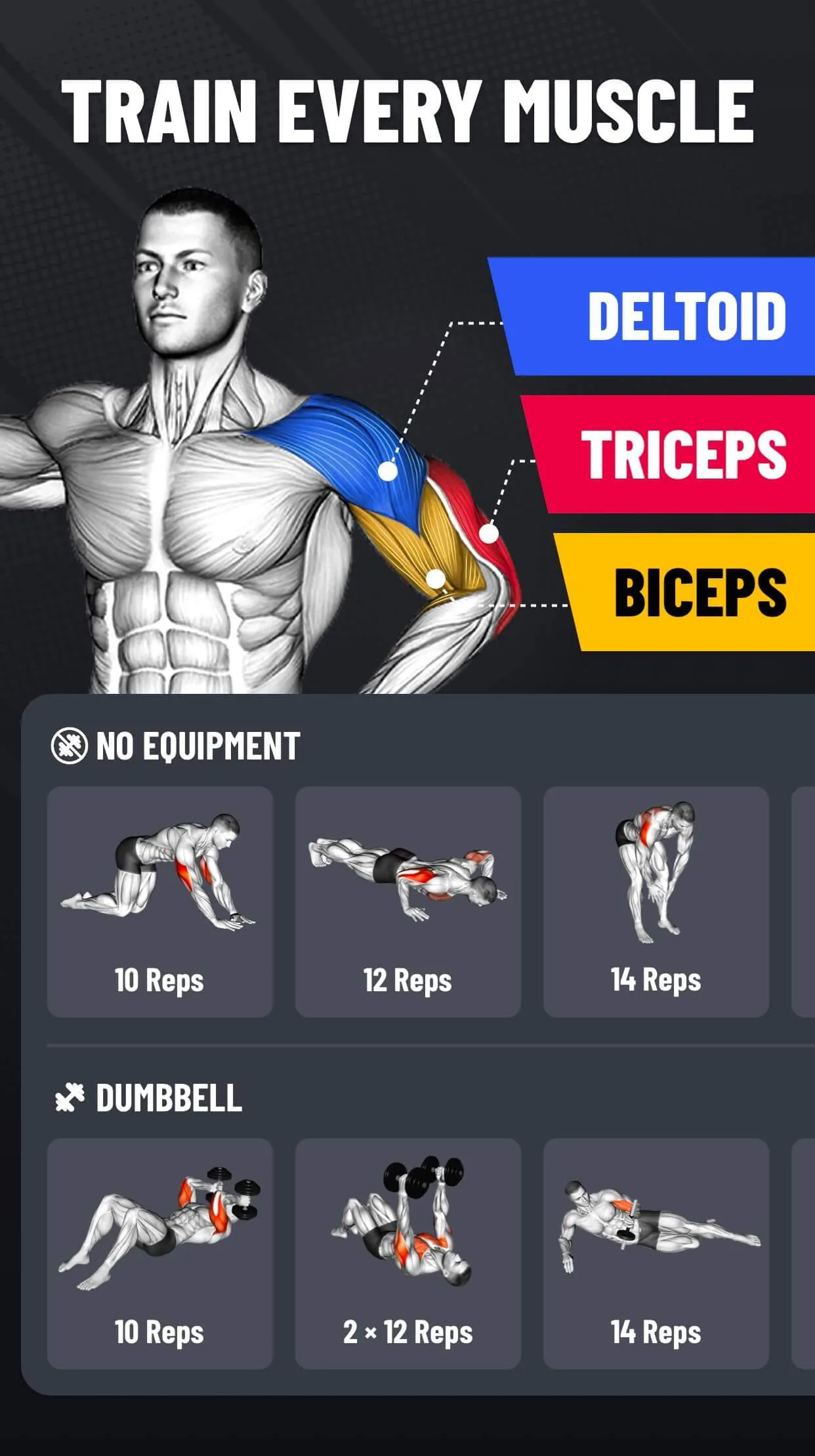 Arm Workout