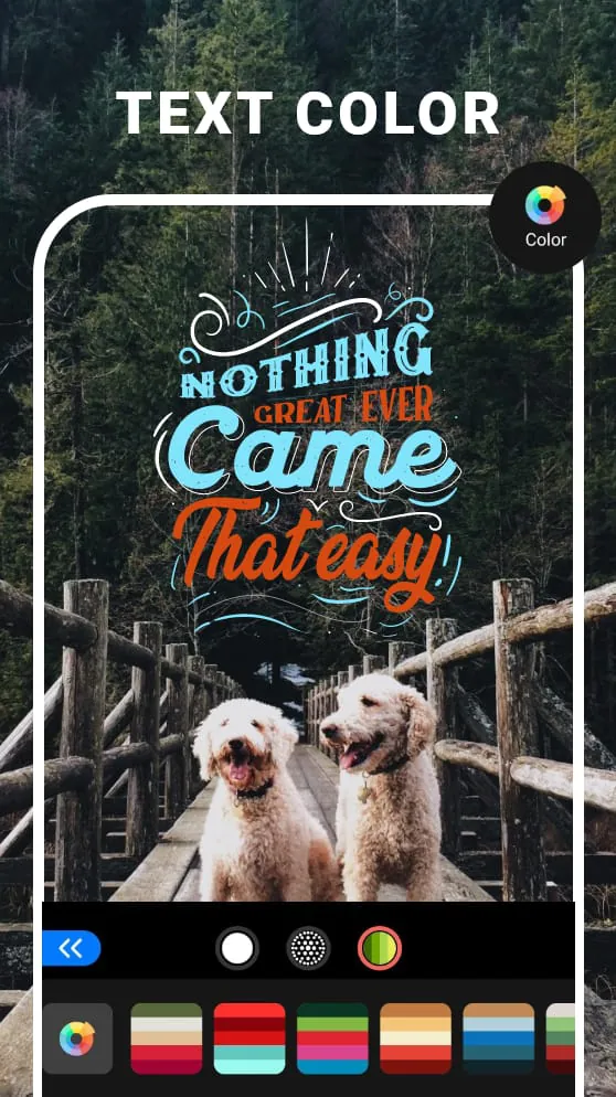 Text Photo