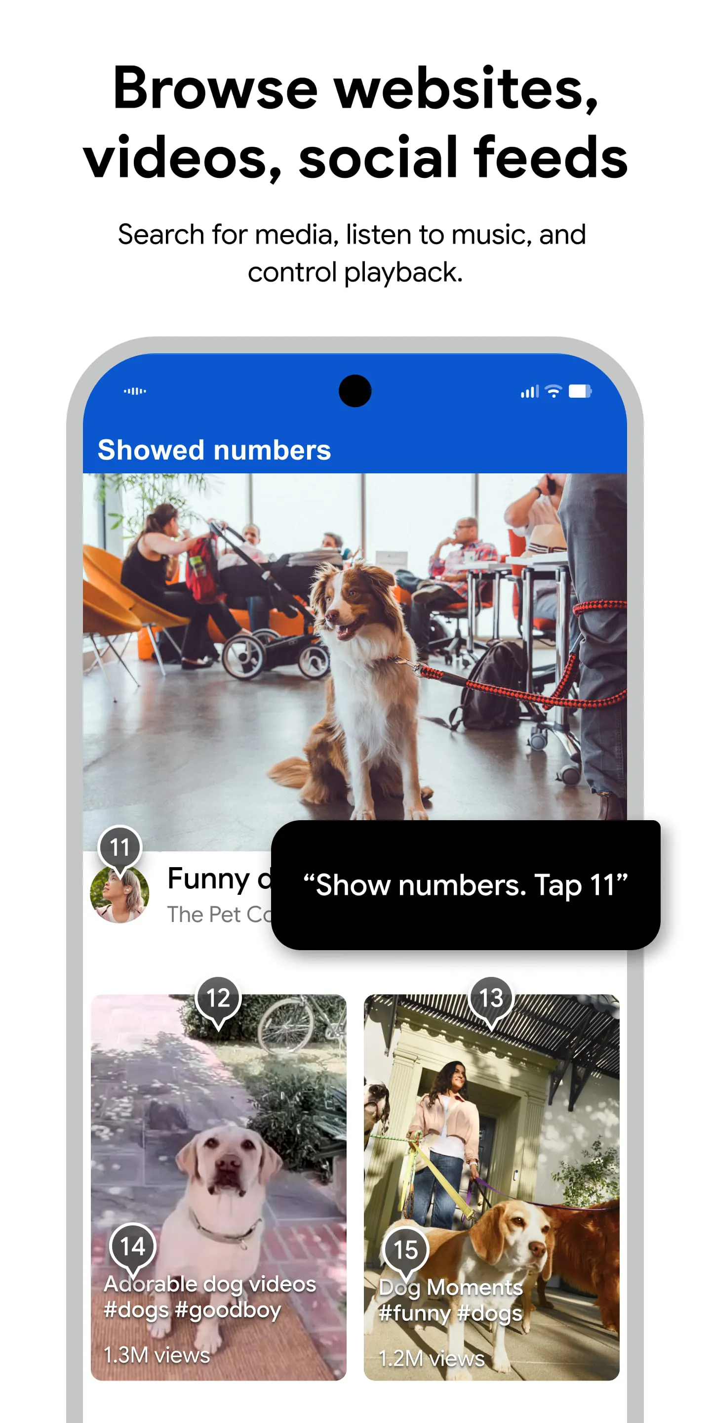 Voice Access