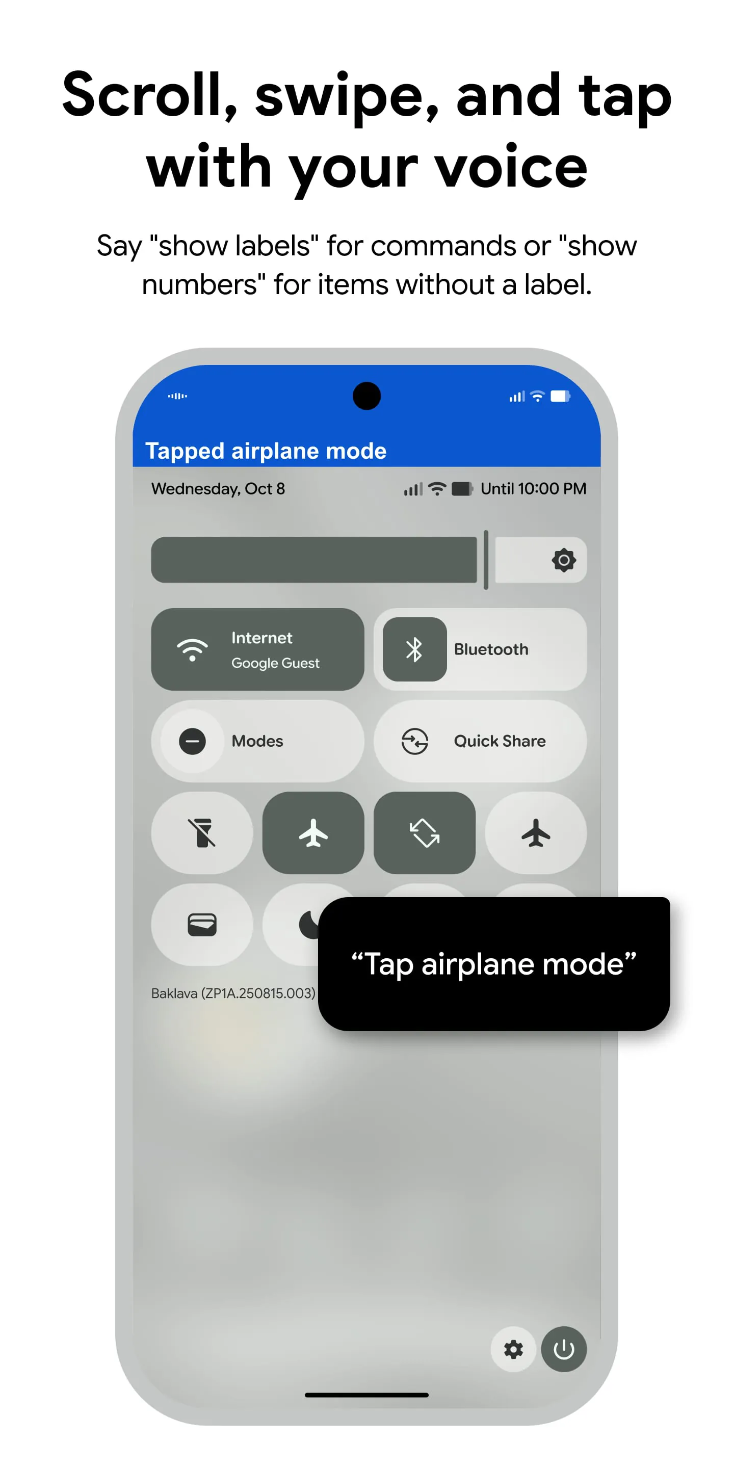 Voice Access