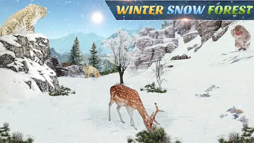 Wild Animal Hunting Games