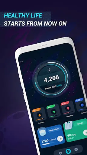 Pedometer