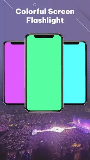 Flash App
