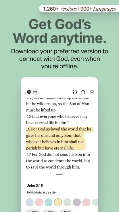 Holy Bible Offline NIV KJV App