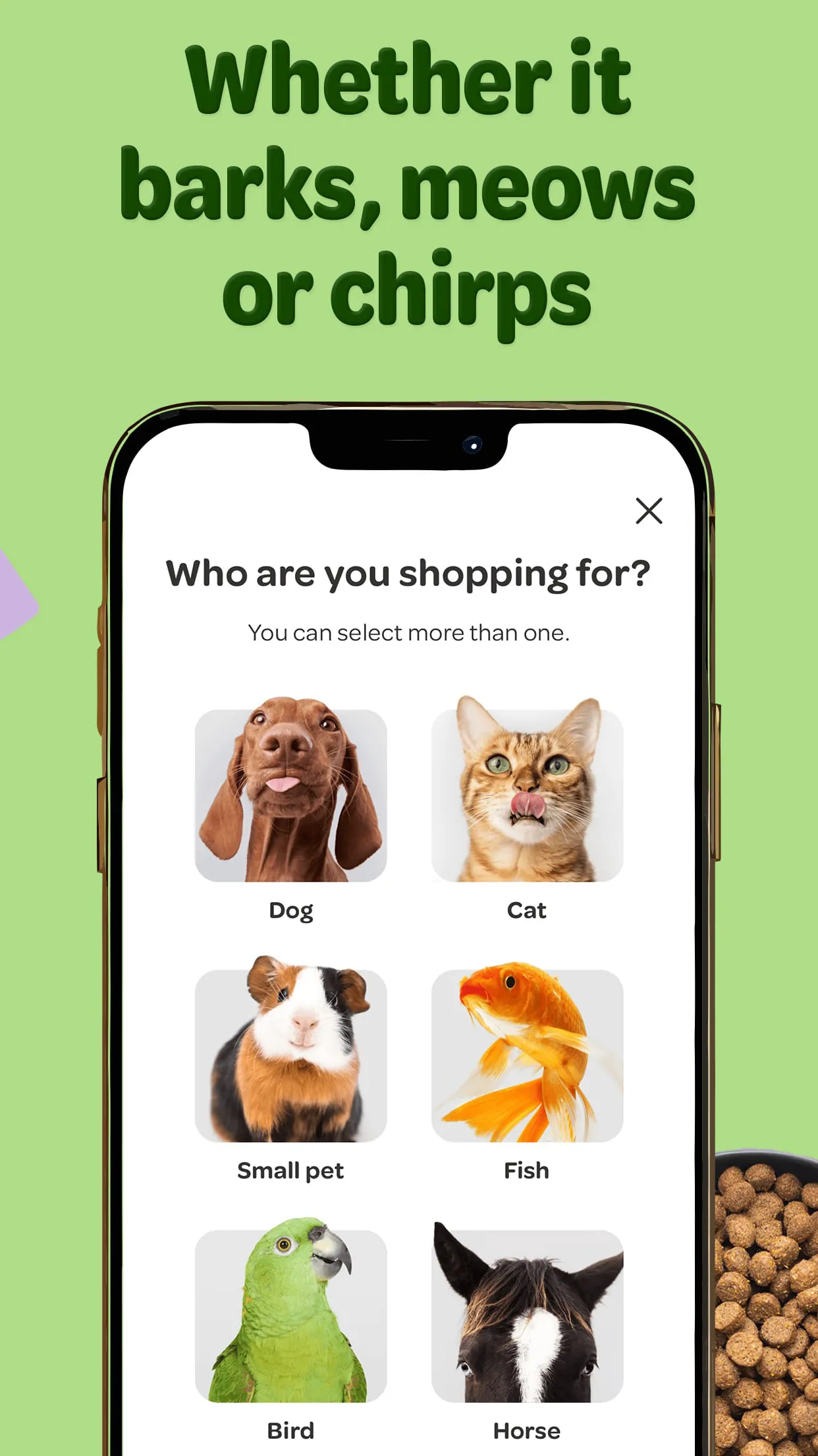 zooplus