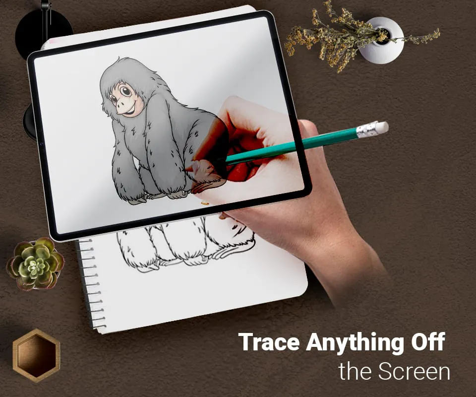Draw