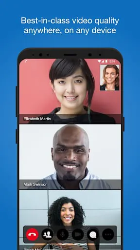 VidyoConnect