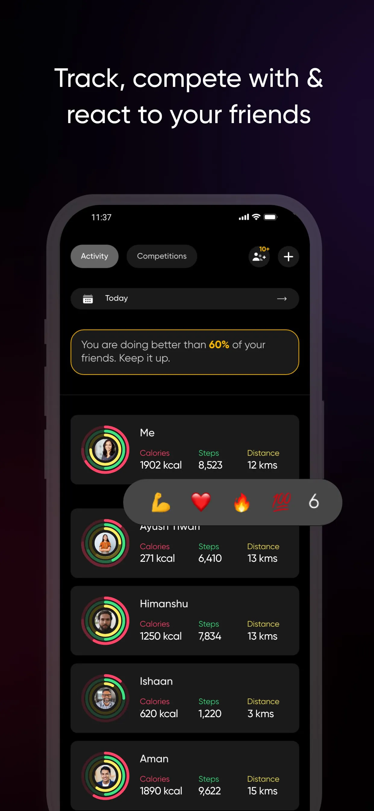 NoiseFit