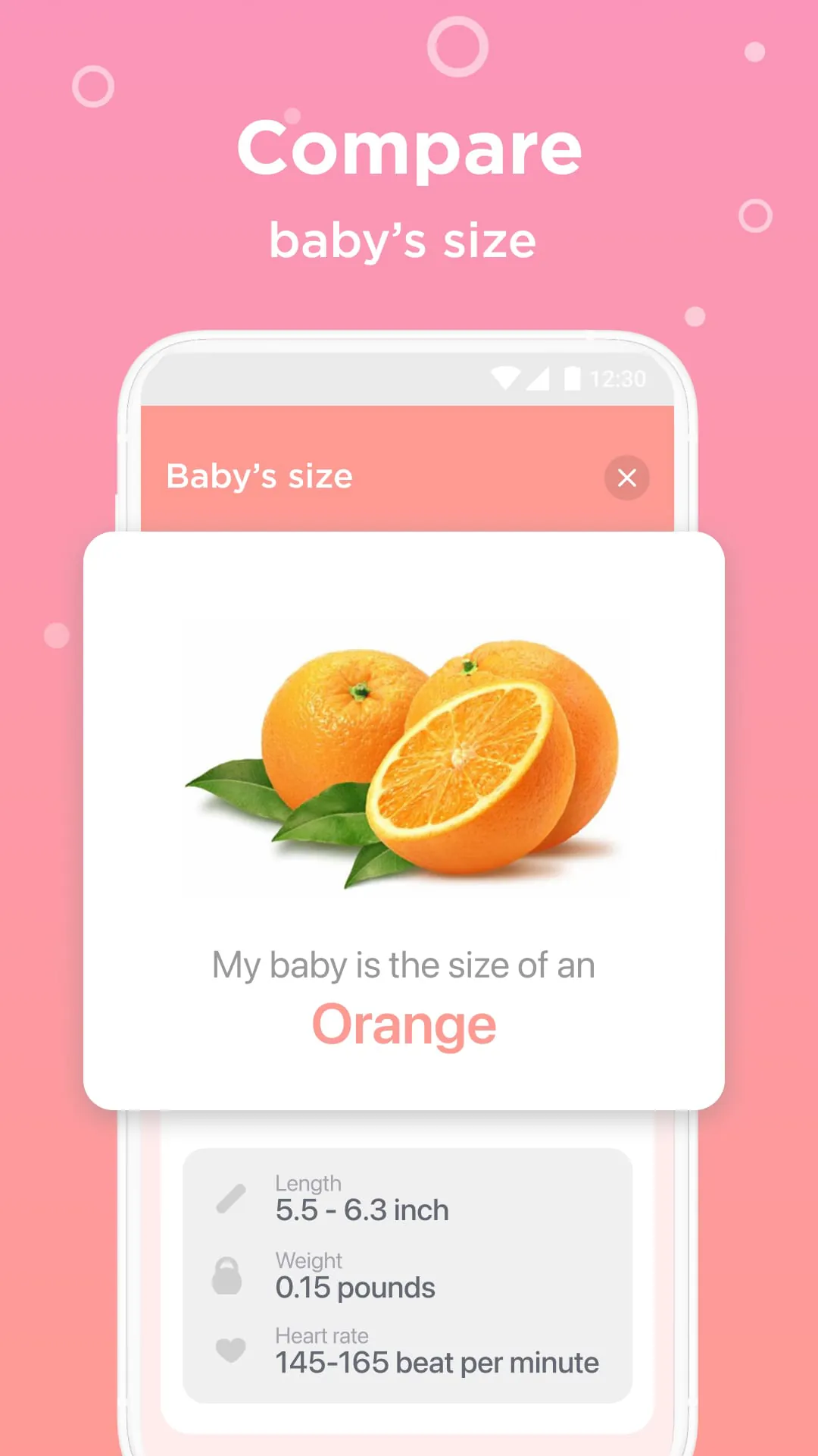 Pregnancy Tracker Week By Week