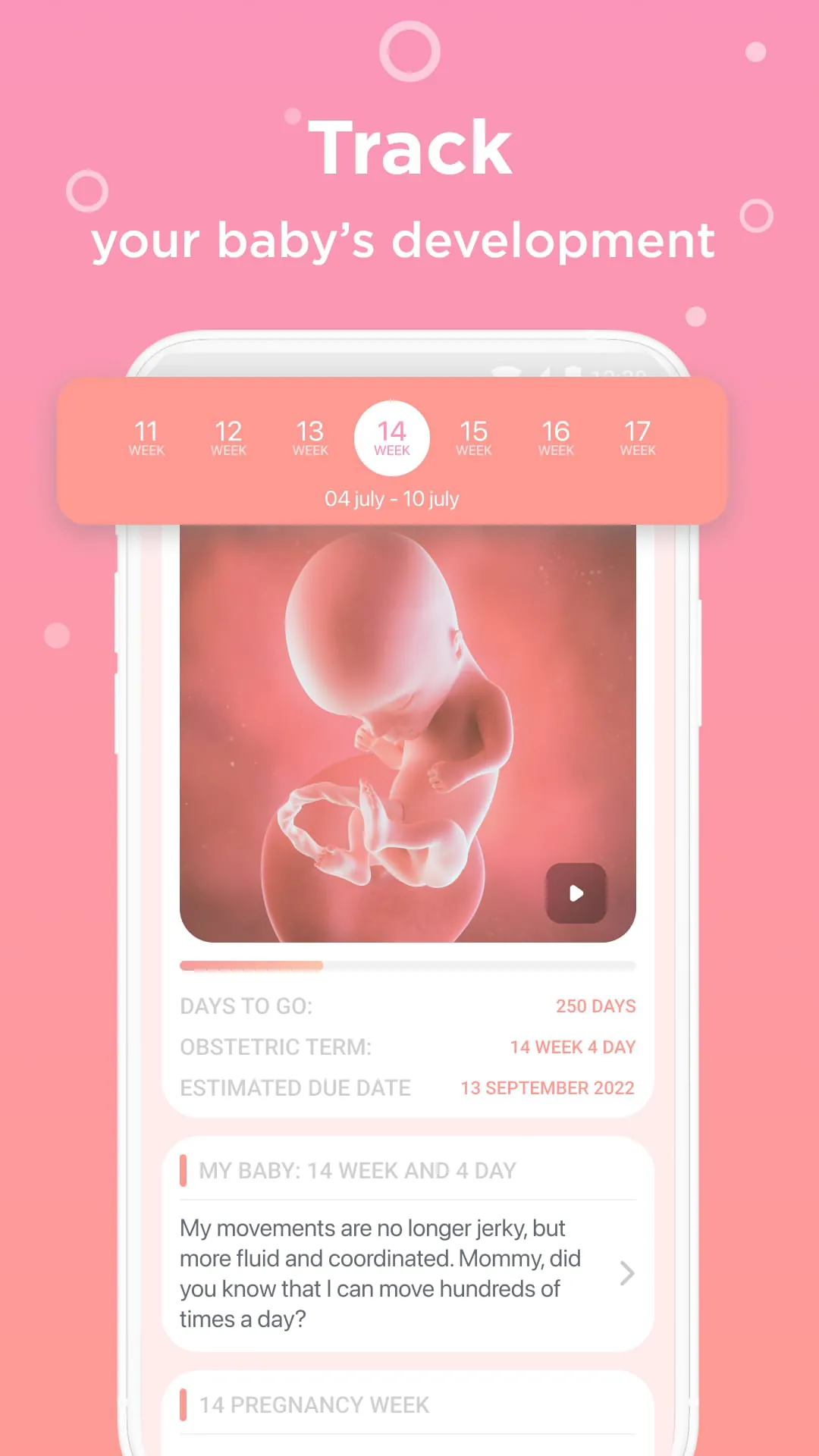 Pregnancy Tracker Week By Week