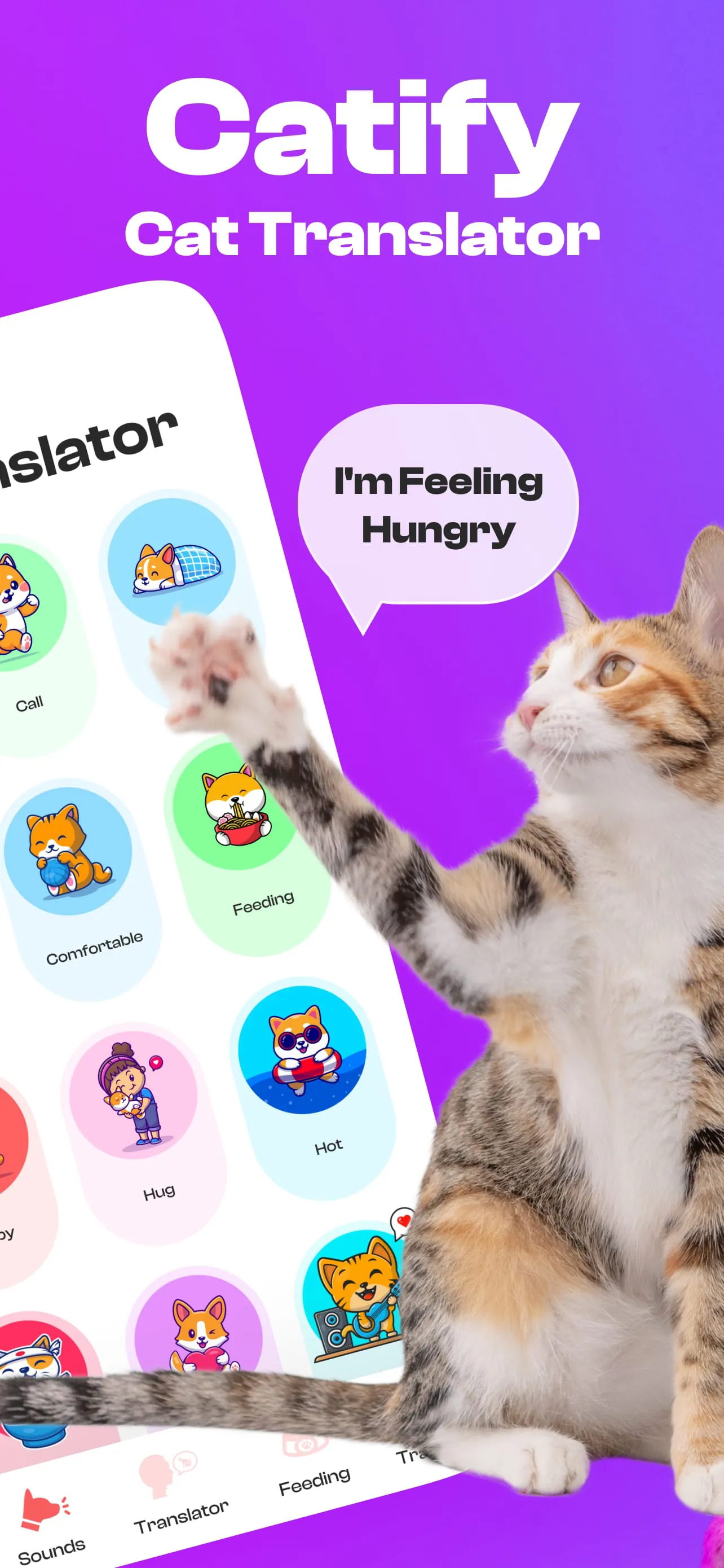 Catify