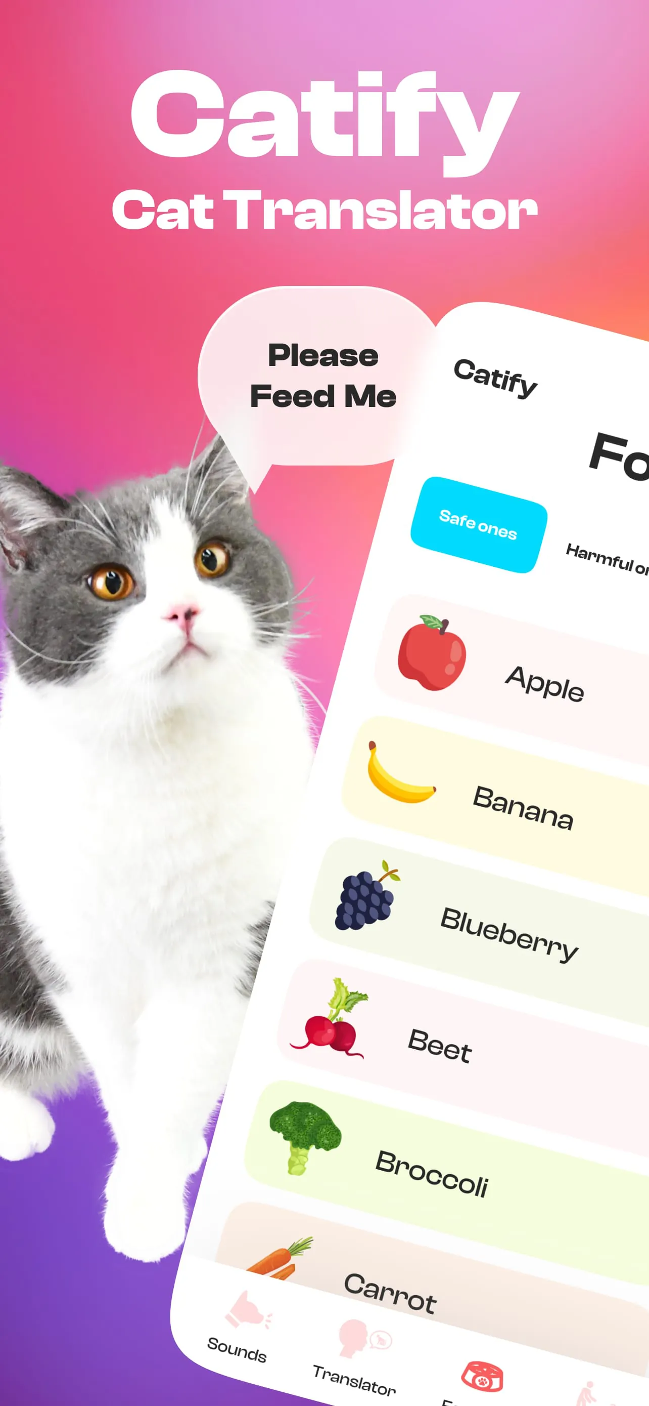 Catify
