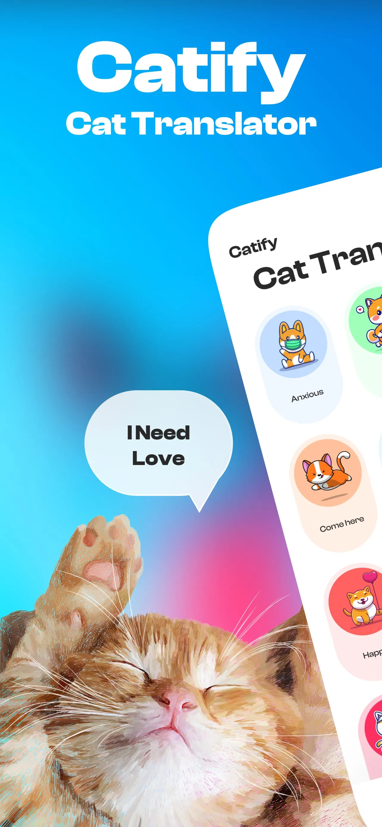 Catify