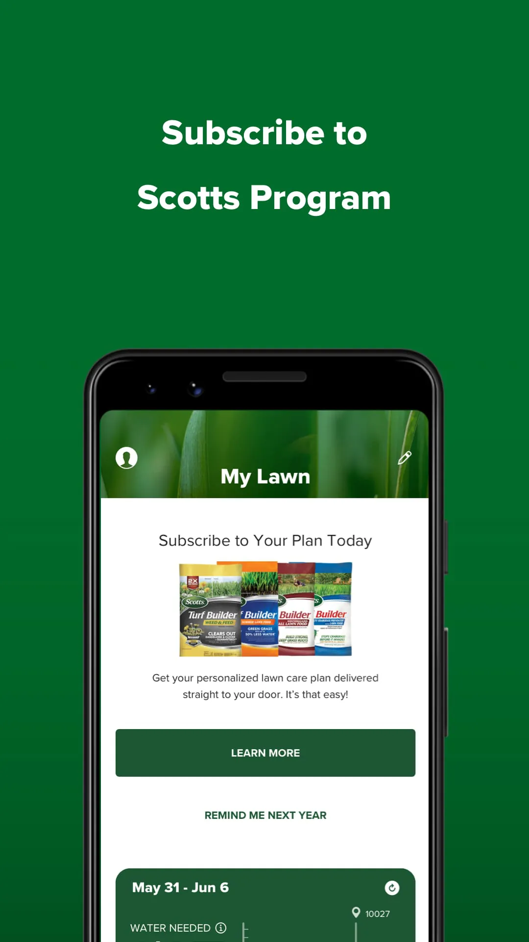 My Lawn