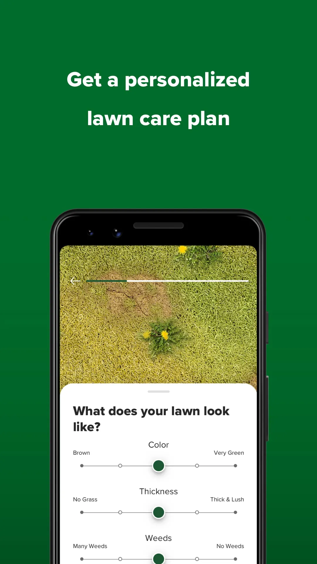 My Lawn