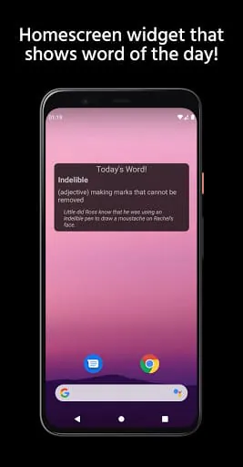 Vocabulary Builder