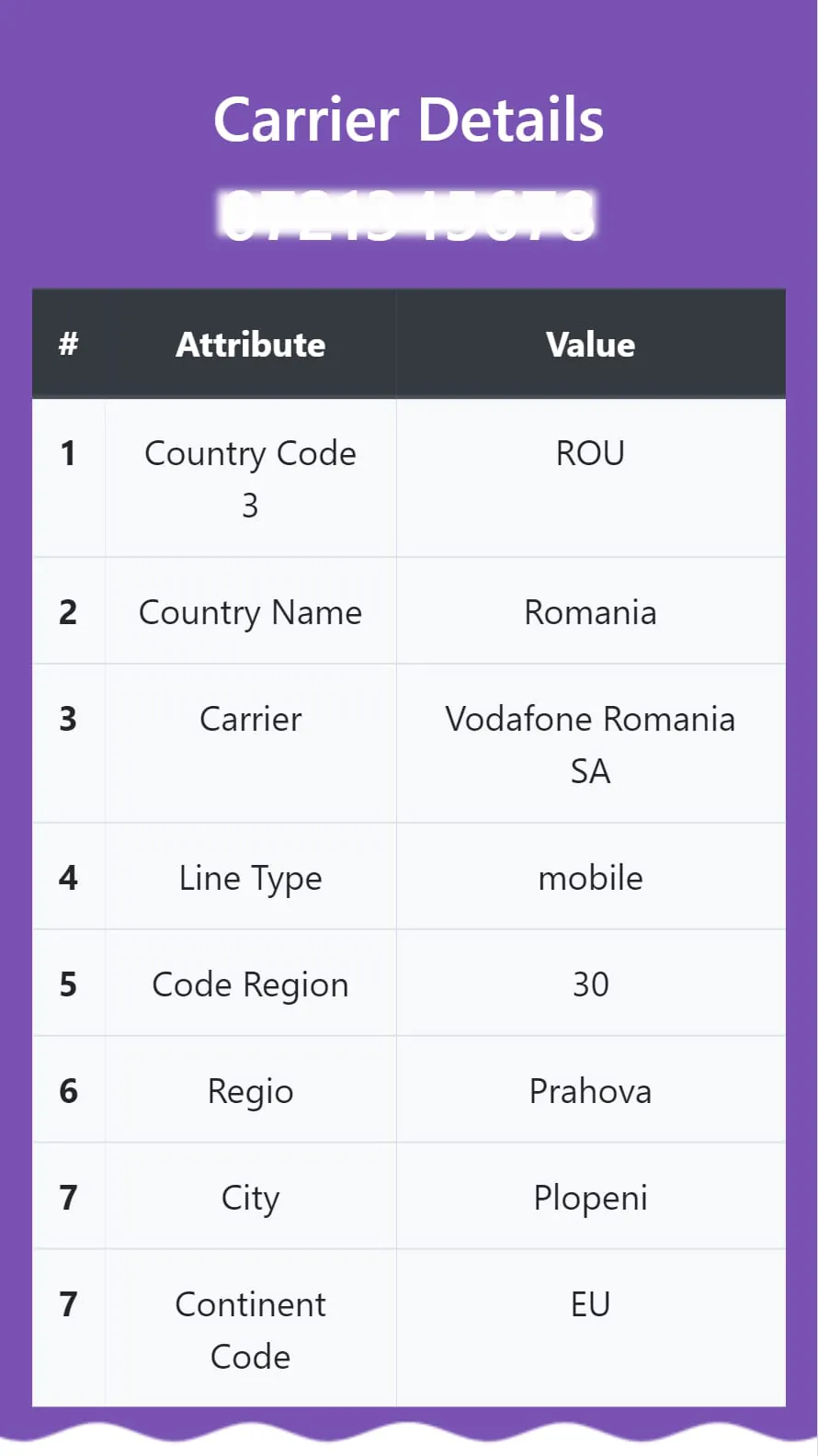 Phone Number Lookup