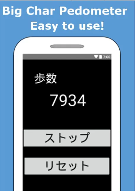 Big Char Pedometer