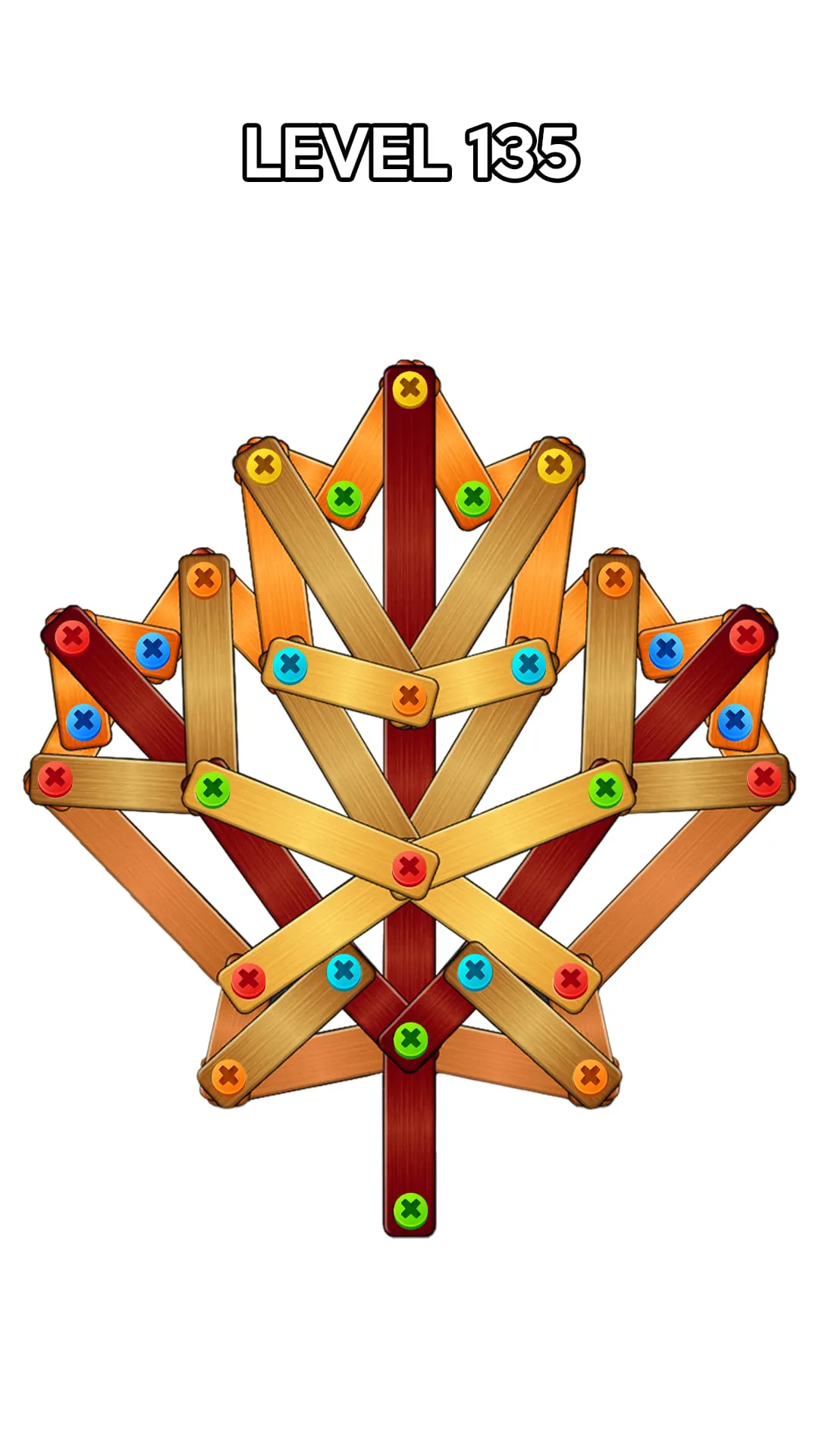 Screw Puzzle