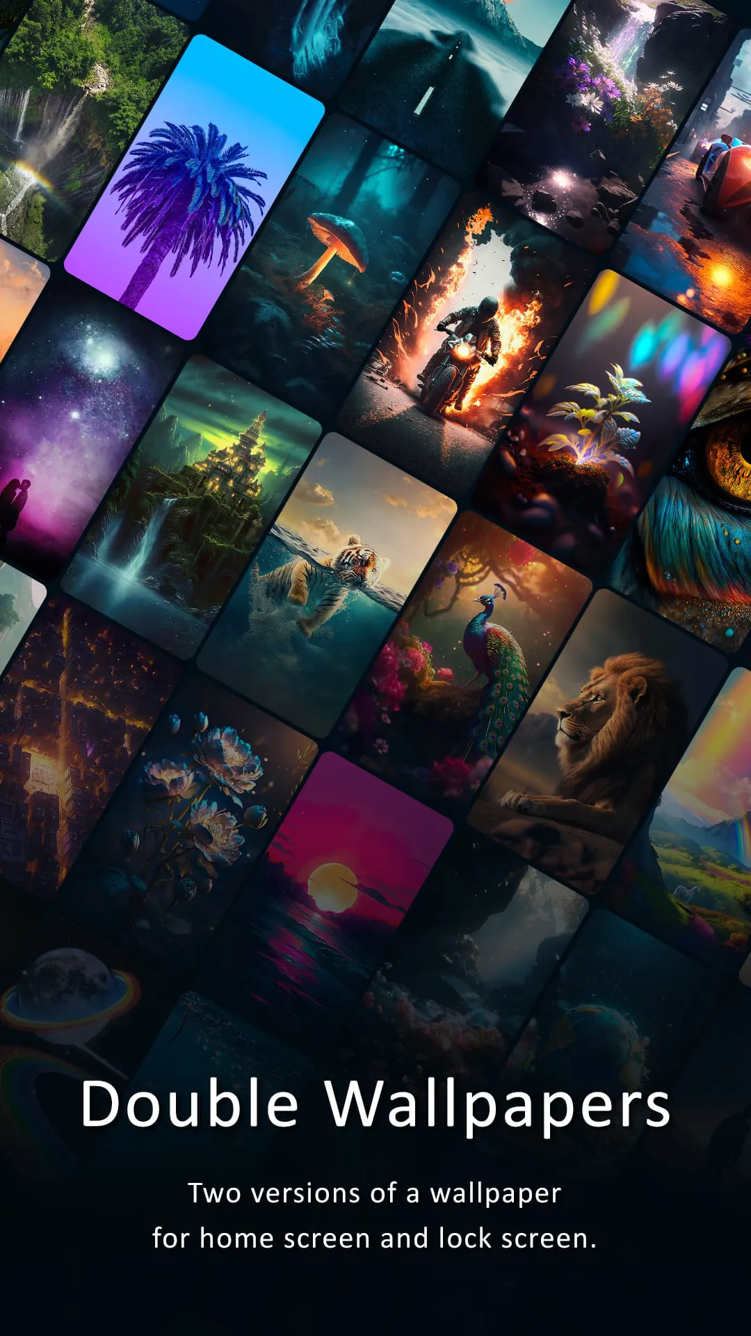4K Wallpapers