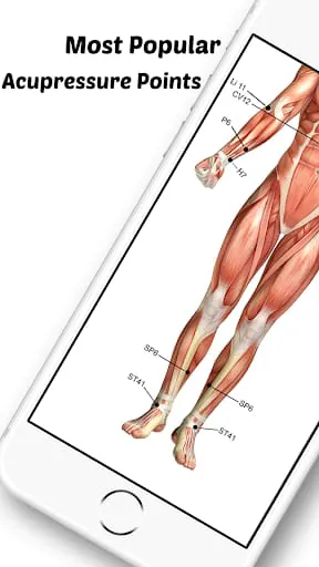 Acupressure