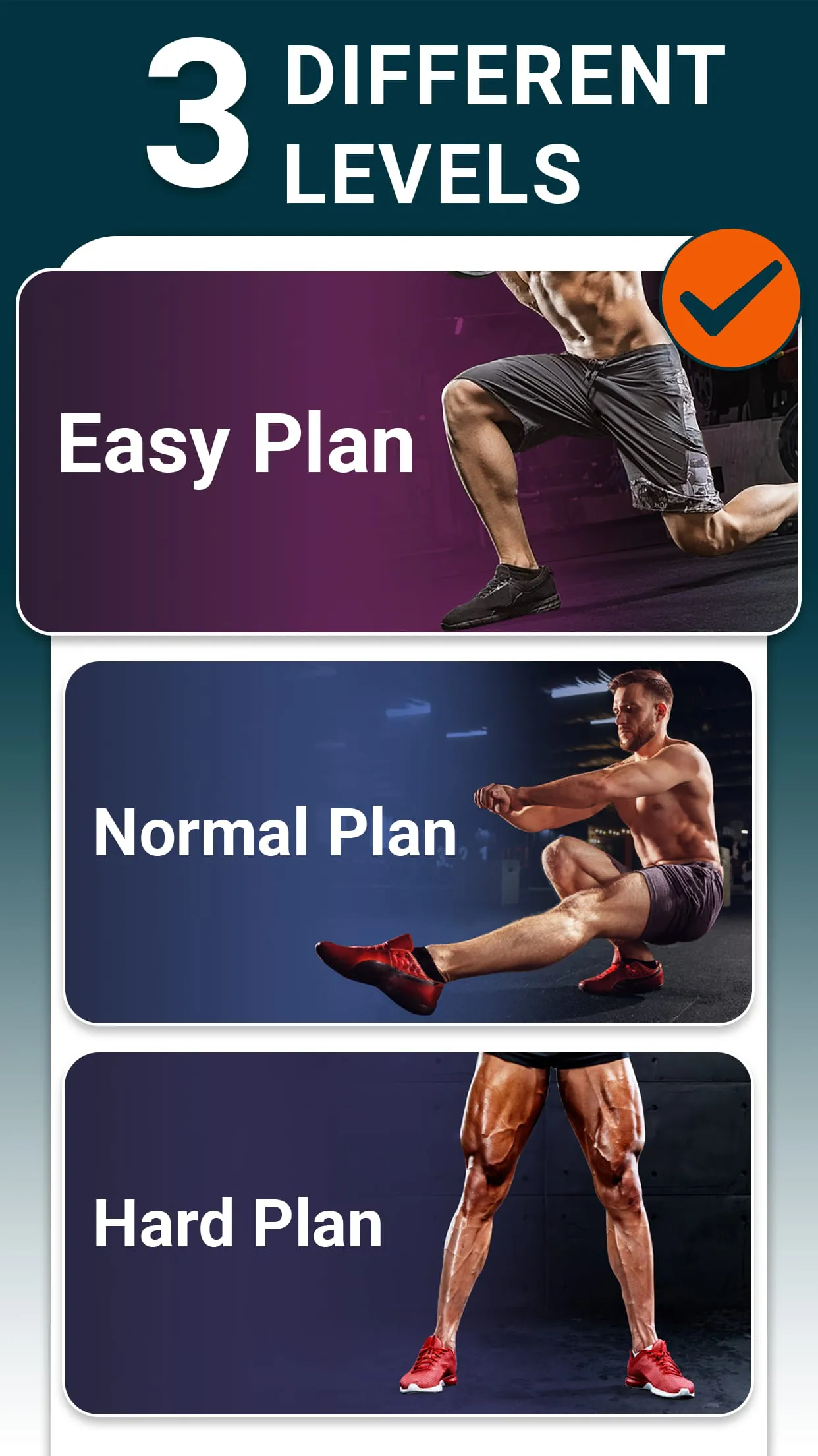 Leg Workouts