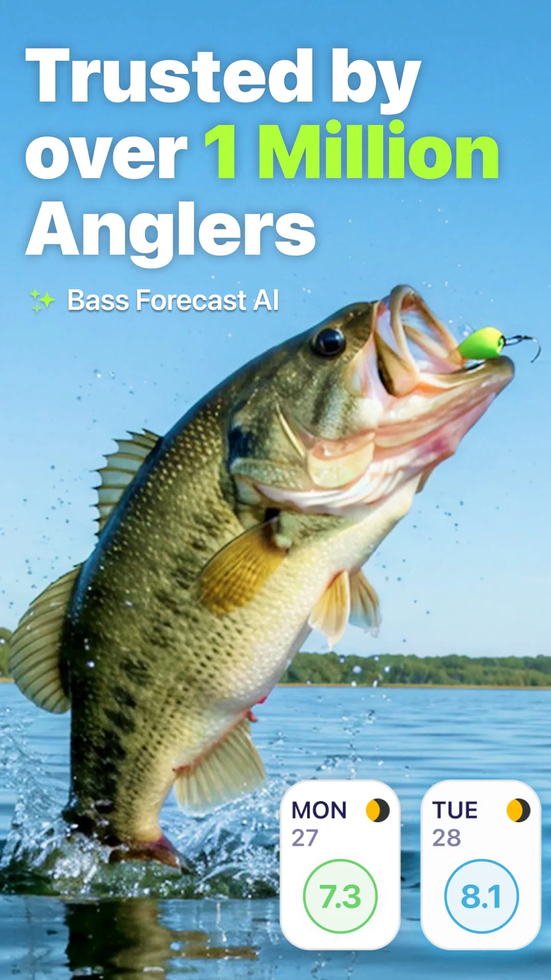 BassForecast