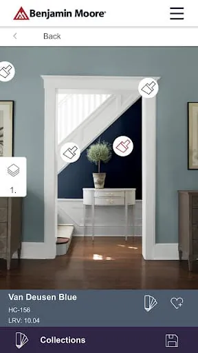 Color Portfolio