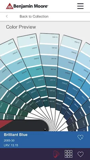 Color Portfolio