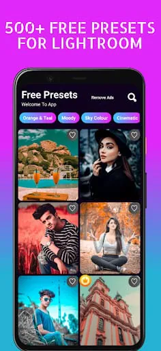 Preset & Filters For LR