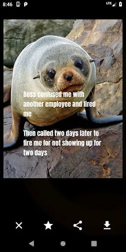 Funny Laughs LOL!