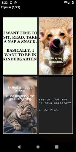 Funny Laughs LOL!