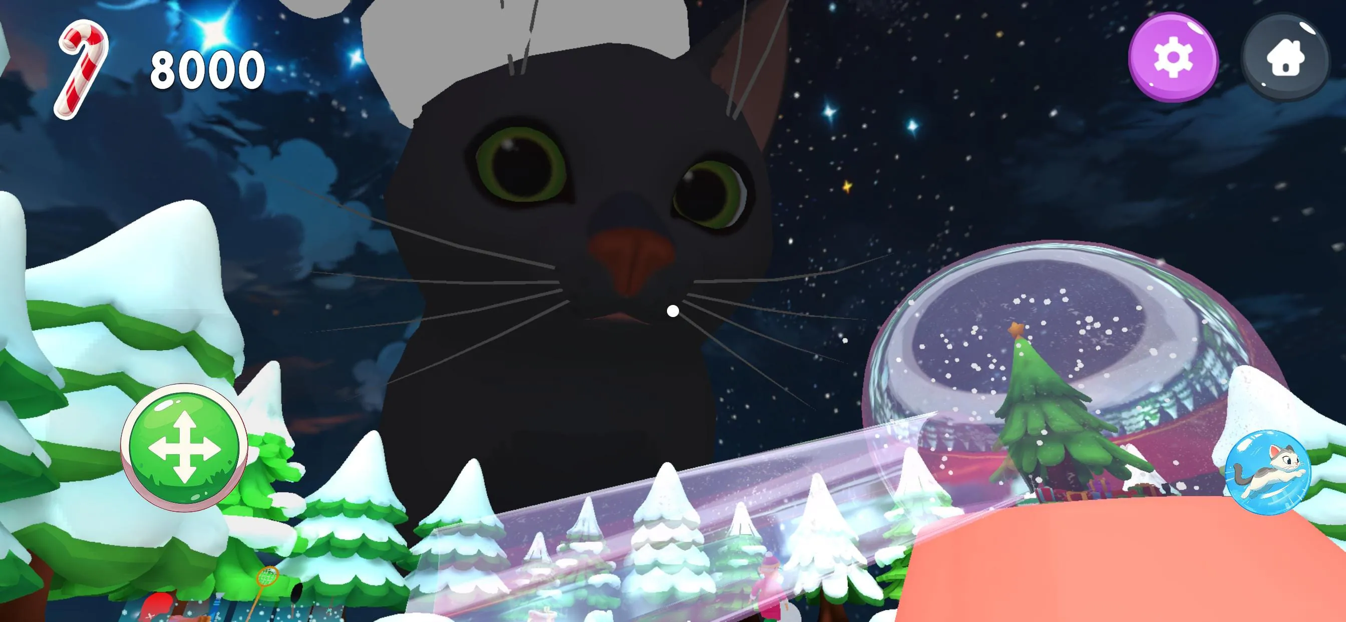 Cat From Hell