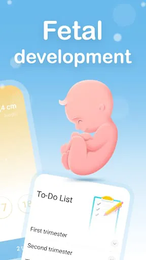 My Pregnancy