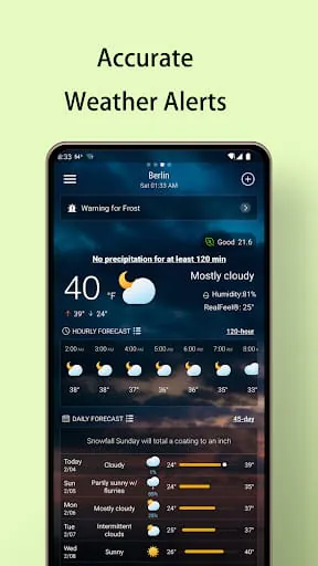 Local Weather Forecast