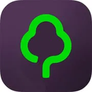 Gumtree