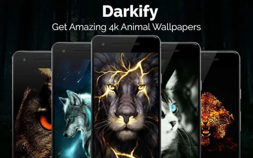 Black Wallpaper
