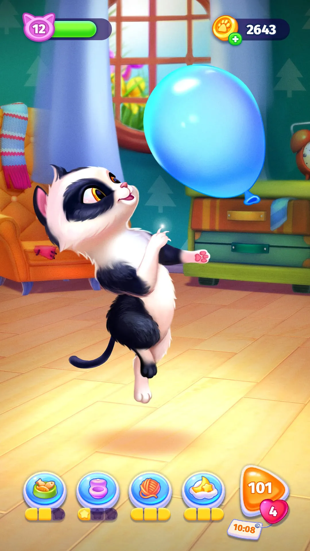My Cat