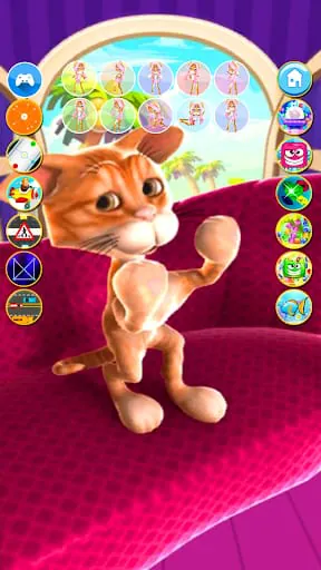 Cat