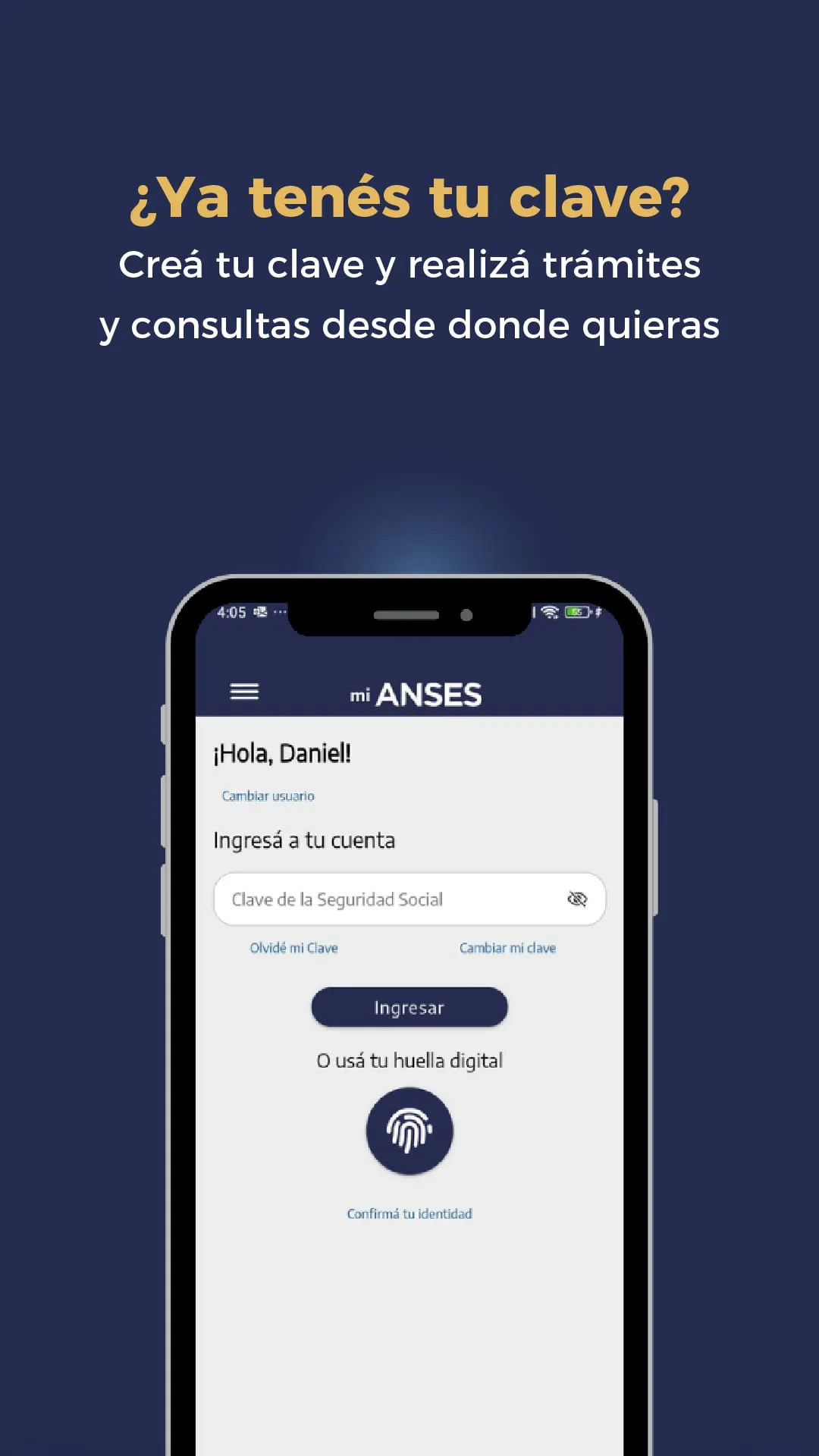 mi ANSES
