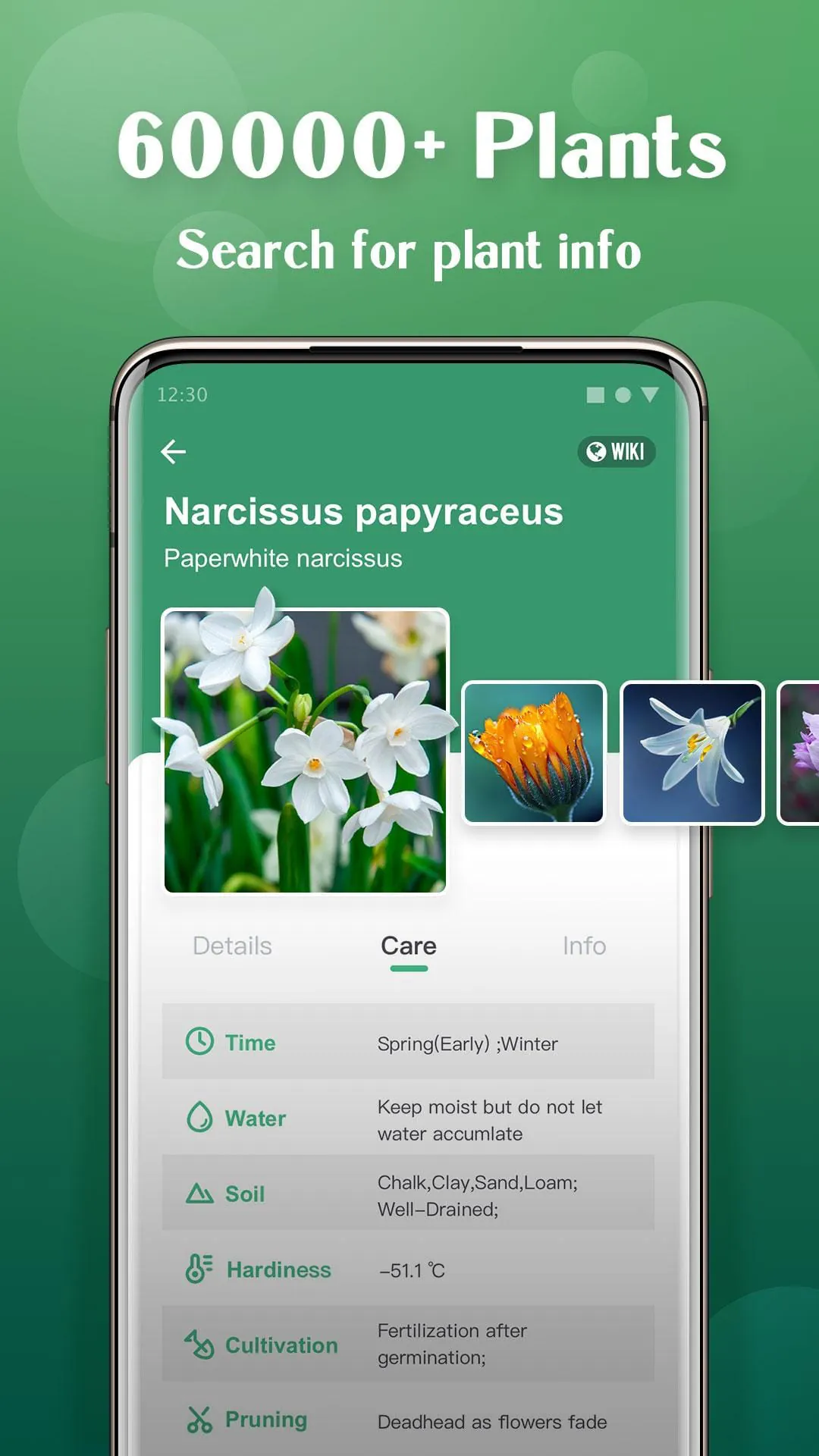 Plant Lens Plant identifier