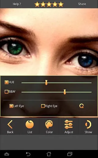 FoxEyes