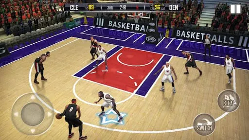 Fanatical Basketball