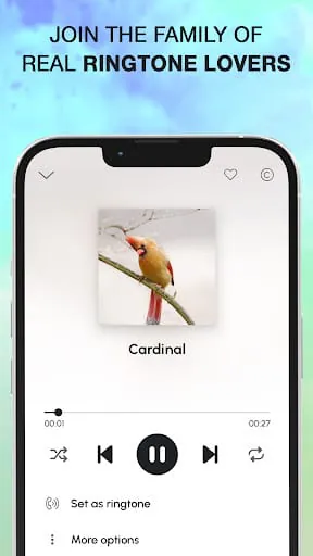 Bird Calls