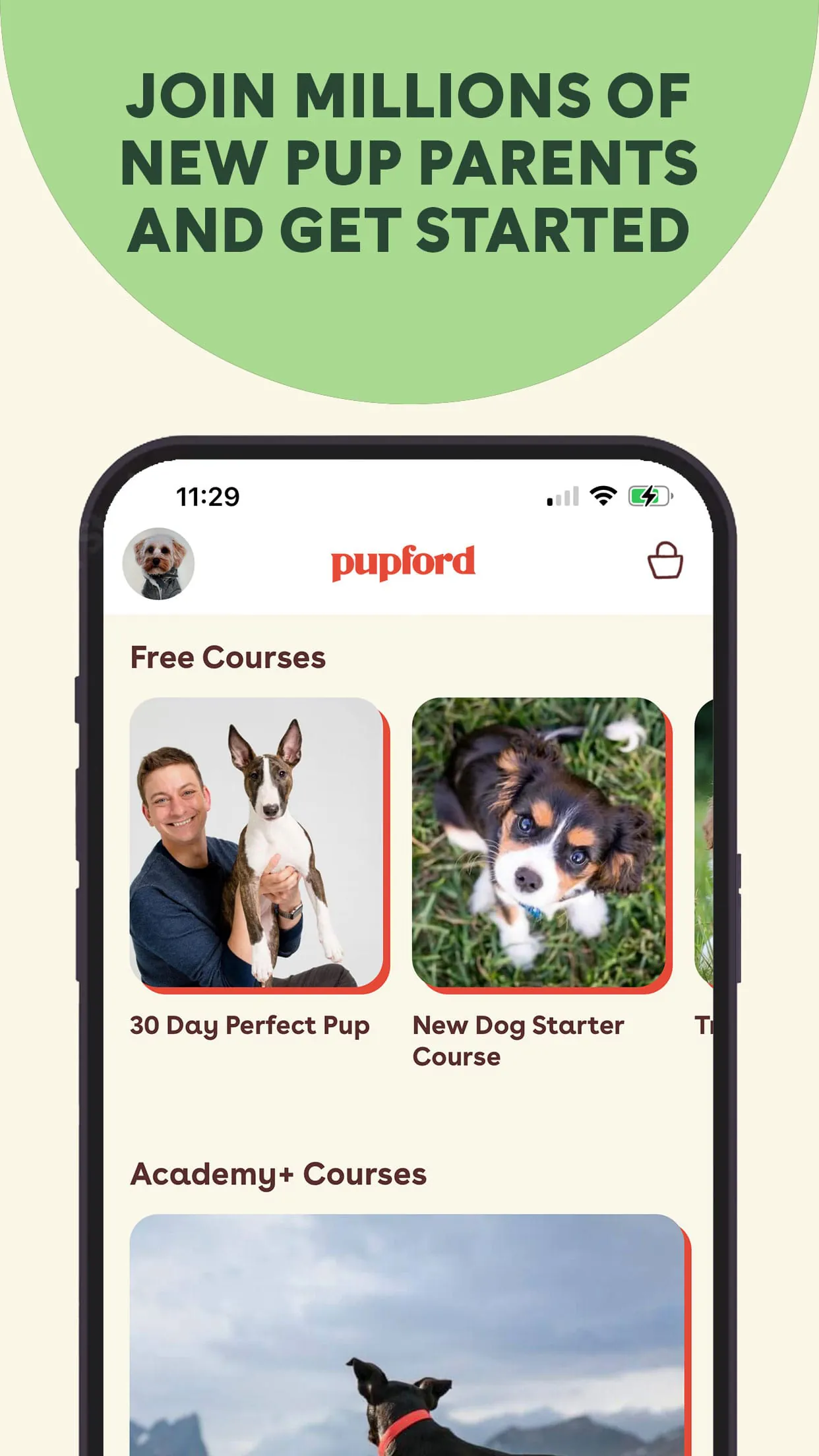 Pupford