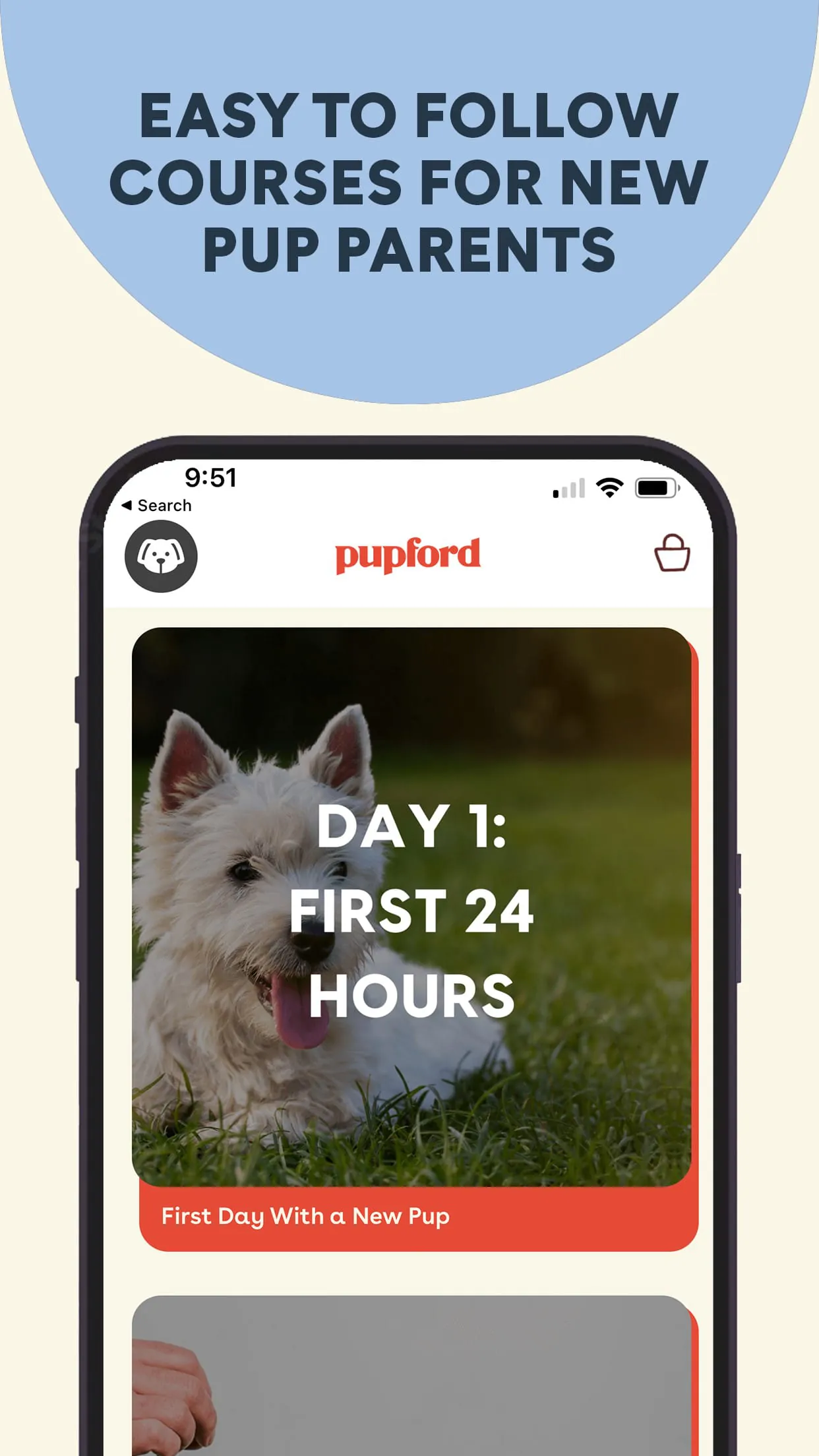 Pupford
